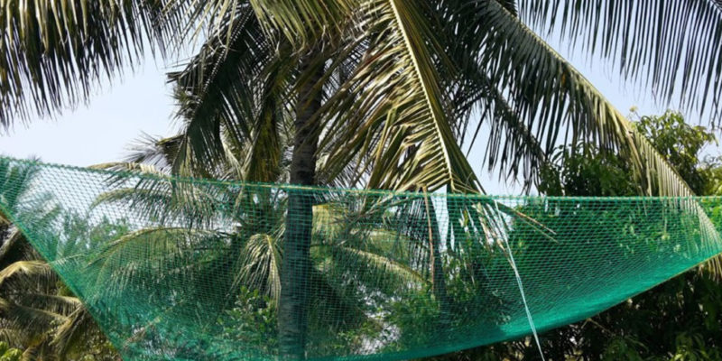 Coconut Safety Nets Hyderabad