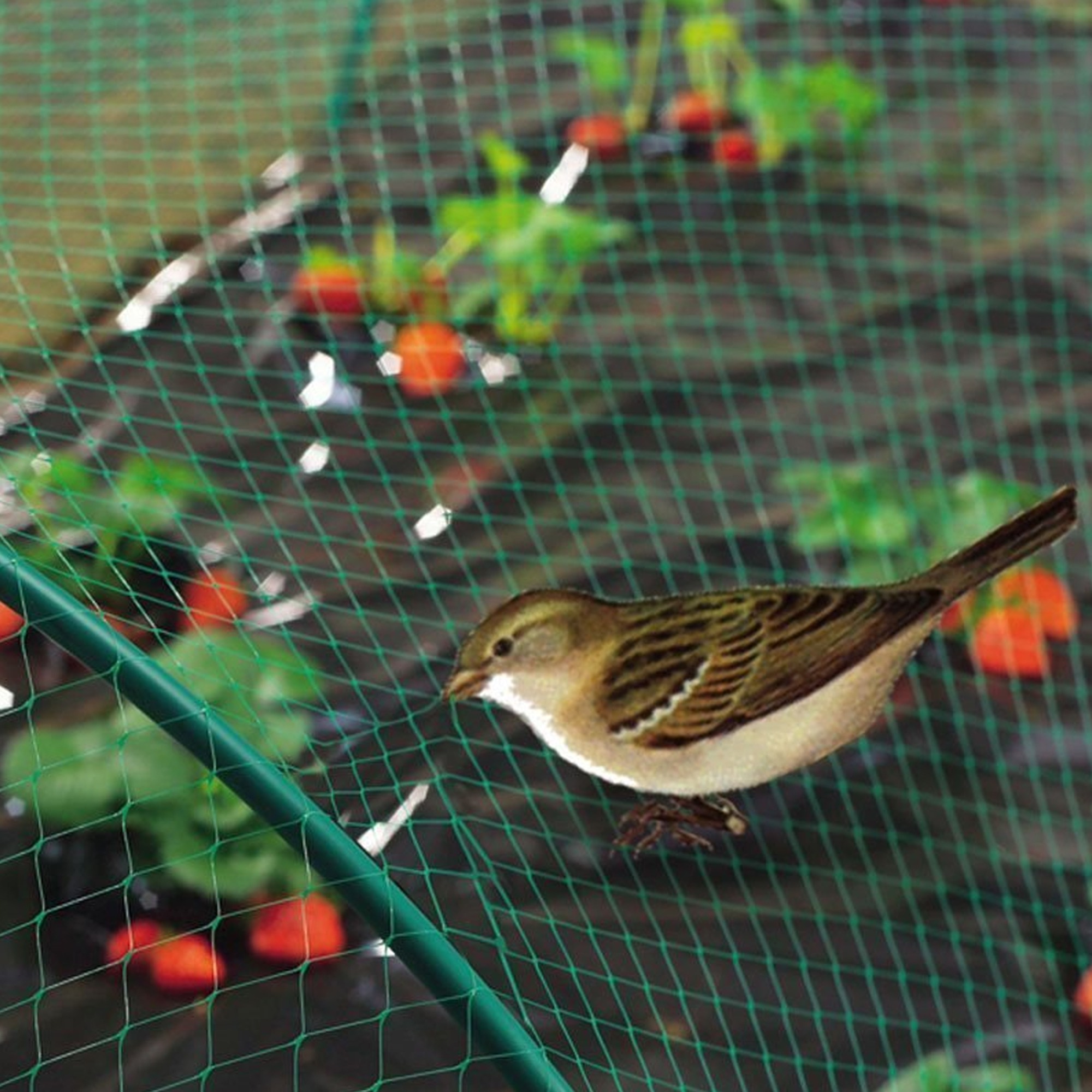 Balcony Safety Nets in Hyderabad